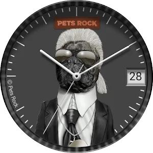 Fashion | Pets Rock Screenshot 3