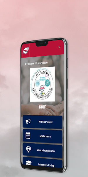 KRIF Hockey Screenshot 2