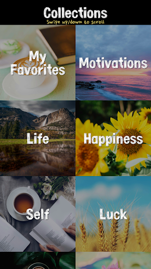 Proverbs, Phrases & Idioms Collection: Phrasevines Screenshot 1