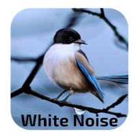 White Noise Birds Noise