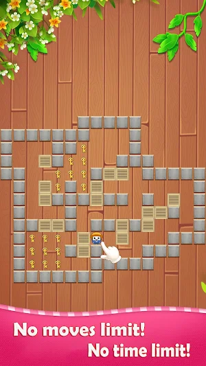 Push Box - Sokoban Puzzle Screenshot 3