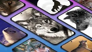 Wolf wallpapers backgrounds Screenshot 0