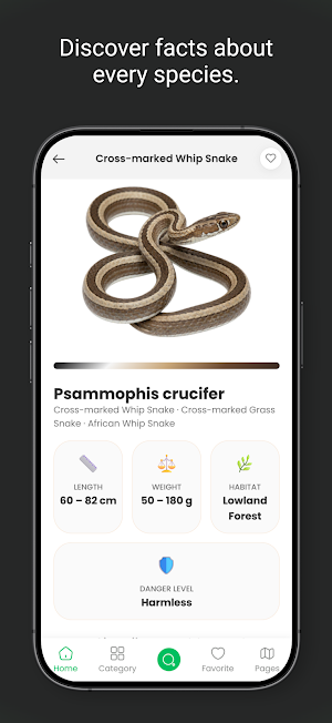 Snakes Of Eswatini Screenshot 0