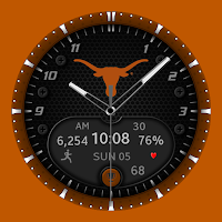Texas Longhorns Premium