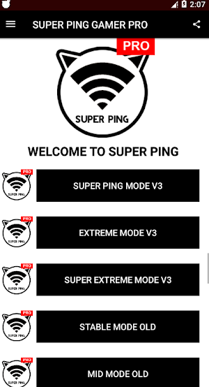 SUPER PING - Anti Lag (Pro version no ads) Screenshot 3