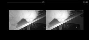 VR Camera Viewer Screenshot 2
