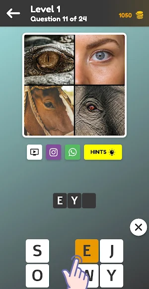 Quiz: 4 Pics Game, Guess The Word Screenshot 0