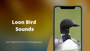 Loon Sounds Screenshot 0