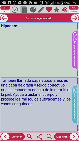 Anatomía y fisiología 2900 concept y cuestionarios Screenshot 2