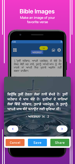 Punjabi English Bible Screenshot 2