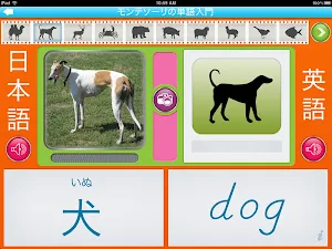 Montessori Vocabulary Animals - English & Japanese Screenshot 1
