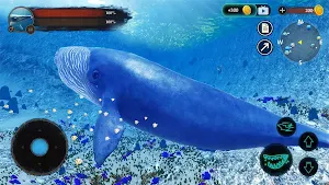The Blue Whale Screenshot 1