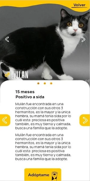 Positivo + Screenshot 1