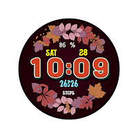 Autumn Flowers