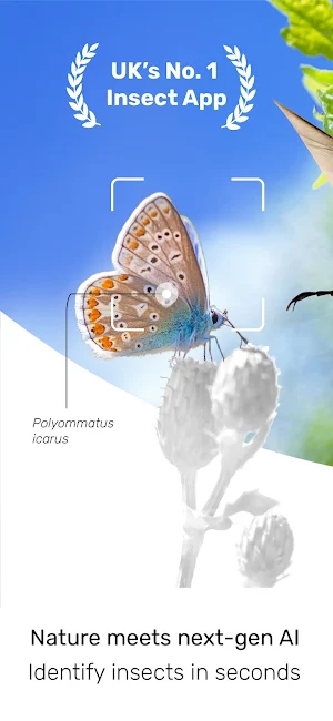 ID UK insects Screenshot 0
