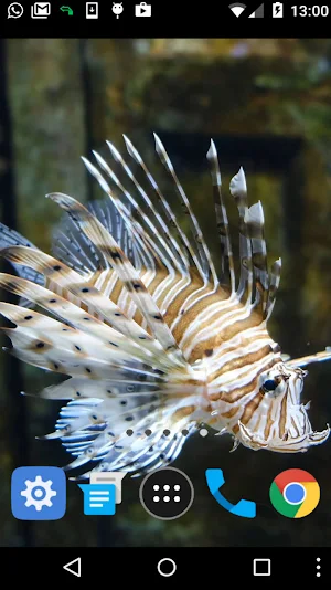 lionfish wallpaper Screenshot 1