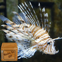 lionfish wallpaper