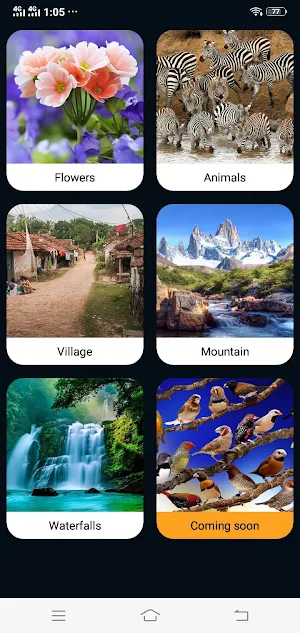 AAM Puzzle Screenshot 2