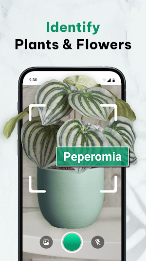 Plants Identifier: Scan Plants Screenshot 0