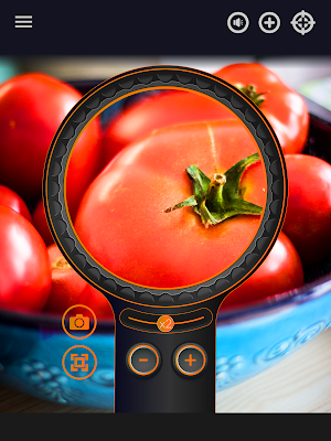 Magnifier Screenshot 2