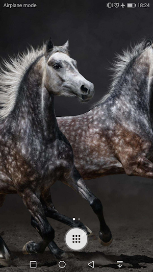 Horse Wallpaper Screenshot 3