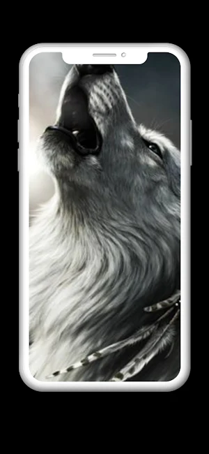 Wolf Wallpaper HD Screenshot 1