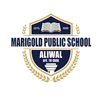 MPS Aliwal