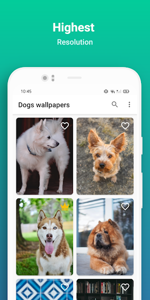 Dog wallpaper Screenshot 2