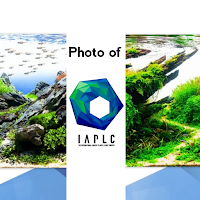 Aquascaping Contest IAPLC 2021