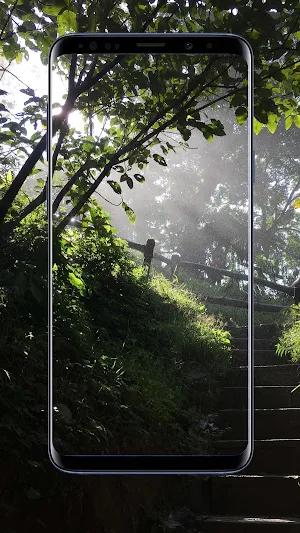 Garden Wallpapers and Backgrou Screenshot 3