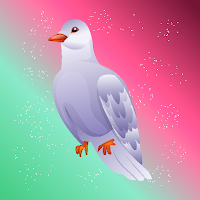Rescue The Ringneck Dove