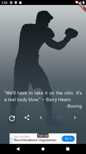Boxing Quotes Screenshot 3