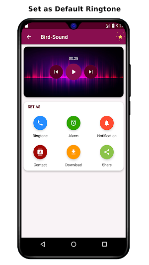 Birds Sound Ringtones Screenshot 2
