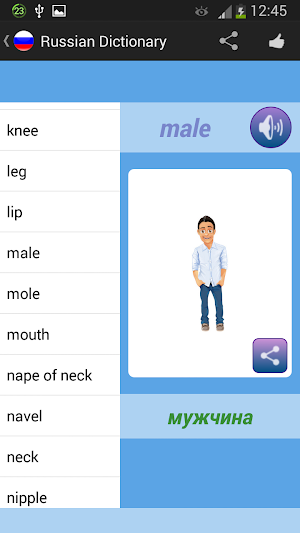 Russian Dictionary Screenshot 3