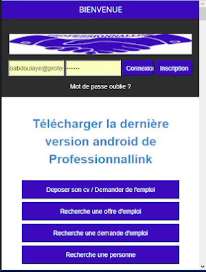 Professionnallink - offres d'emploi - recrutement Screenshot 3