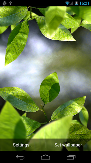 Fresh Leaves Screenshot 0