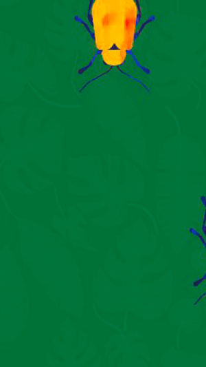 HUNGRY CHAMELEON Screenshot 2