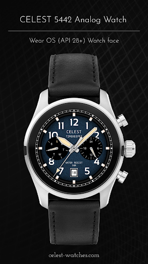 CELEST5442 Analog Watch Screenshot 1