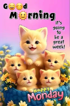 Everyday Good Morning Images Screenshot 0