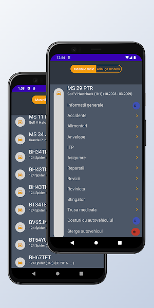 Info Autovehicul Screenshot 1