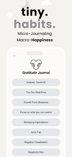 Wise Journal Screenshot 3
