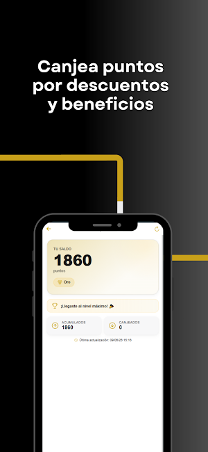 Gruas 724 Screenshot 3