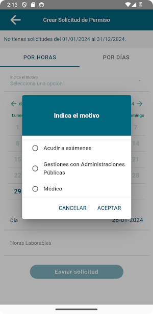 Sommos Mecanicas Aparicio Screenshot 3