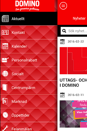 Galleria DOMINO Intern Screenshot 0