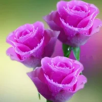 Flores para mamá