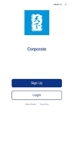Skyworld Corporate Screenshot 2