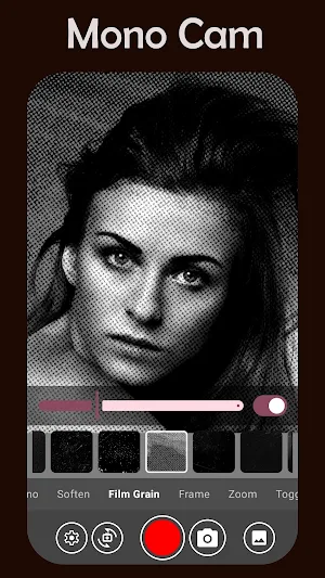 Vintage Camera - Video & Photo Screenshot 3