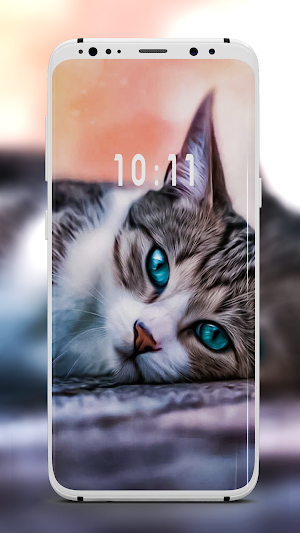 خلفيات قطط كيوت بدون نت Screenshot 3