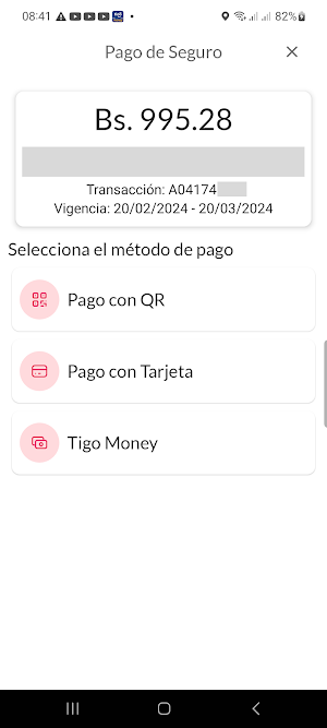 BISA Seguros Screenshot 3