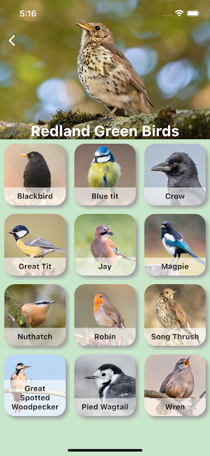 Redland Green Bird Box Survey Screenshot 3